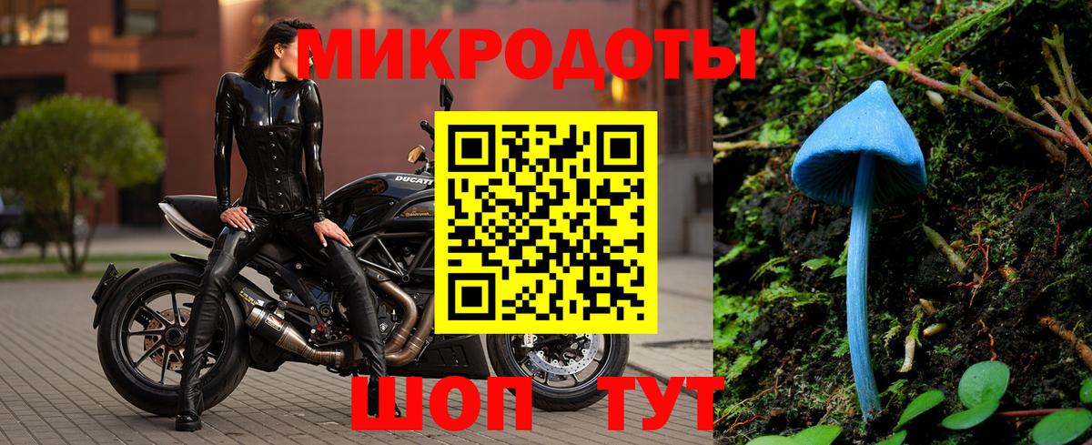 Псилоцибиновые грибы мухоморы  Вход с VPN  Ишимбай  купить закладку  Псилоцибиновые грибы мухоморы 