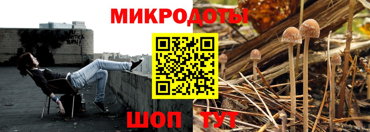 Псилоцибиновые грибы прущие грибы Ишимбай
